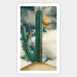 Vintage cactus illustration Magnet